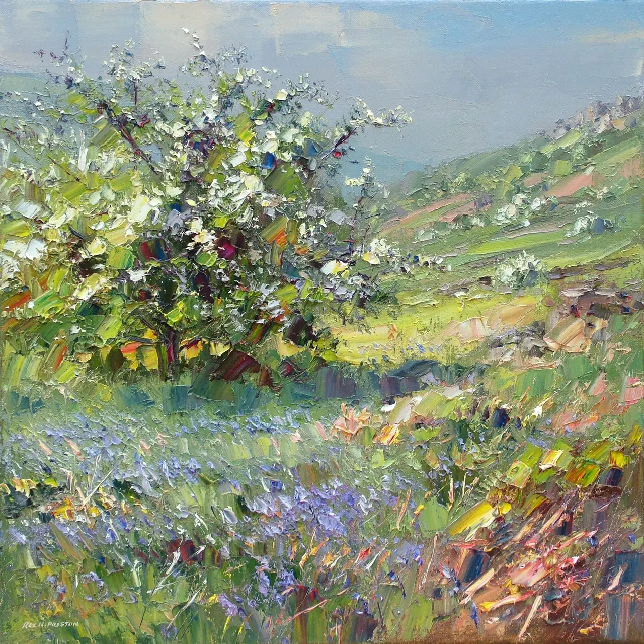 Rex Preston - mayblossom and bluebells, curbar edge, derbyshire